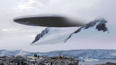 Declassified documents revealing details of UFO sightings in Antarctica in 1962 1