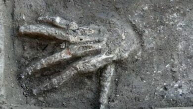 Found at the Hyksos palace the hands were cut off from young defeated enemies 1