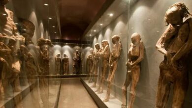 Mummies in a museum in Mexico have fungal growths that are dangerous to visitors 1