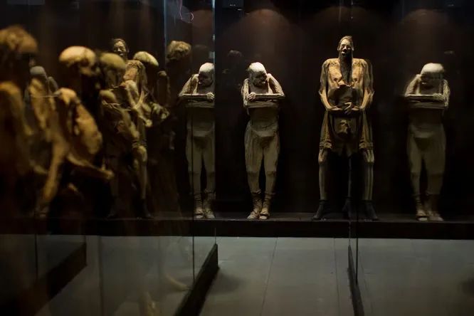 Mummies in a museum in Mexico have fungal growths that are dangerous to visitors 2