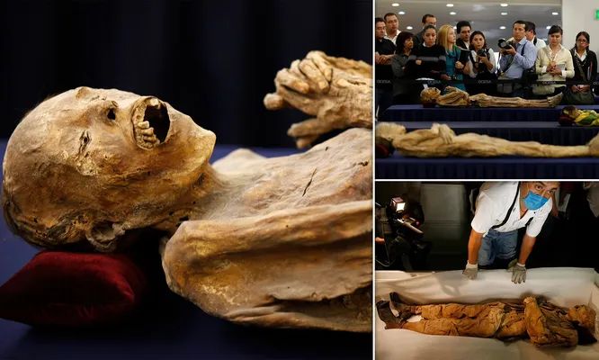 Mummies in a museum in Mexico have fungal growths that are dangerous to visitors 3