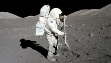 Scientist Peter Brannen thinks there may be dinosaur remains on the moon that we can resurrect 2