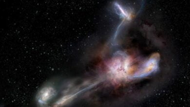 brightest galaxy swallowed satellite galaxies to feed a black hole 3