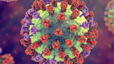 Deadly spread of Influenza Revealing the secrets of the virus (1)