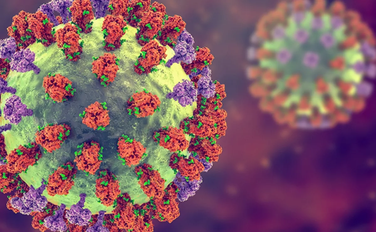 Deadly spread of Influenza Revealing the secrets of the virus (2)