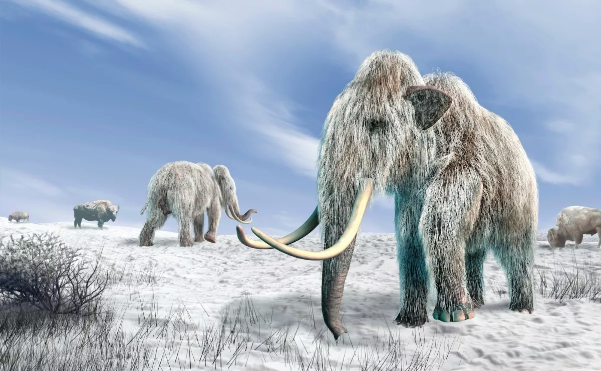 Mysteries of Ancient California Extinction A closer look at the last ice age (2)