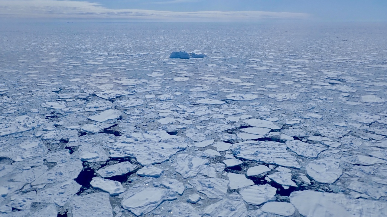 Antarctic sea ice hits 'record smashing' low this year, satellite data shows