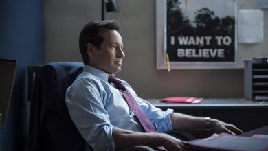 David Duchovny presented his theory about aliens visiting Earth