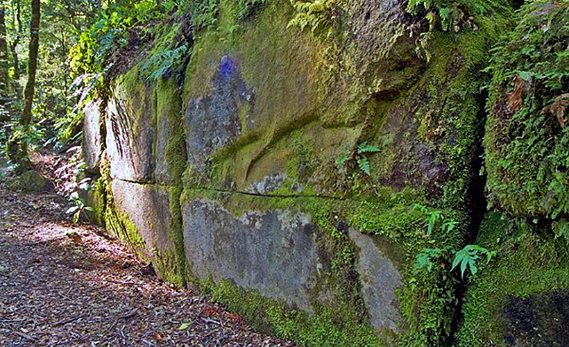 Mysterious ruins in the Kaimanawa Forest the mystery of the Great New Zealand Wall