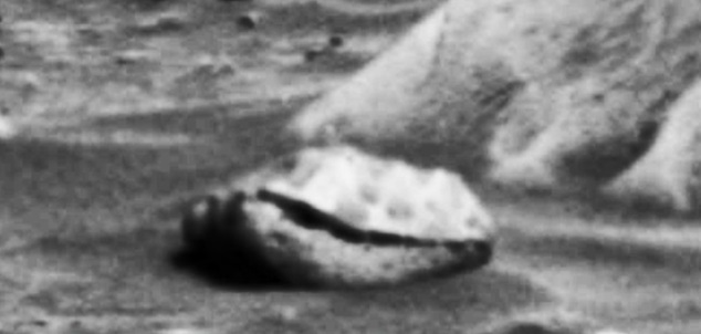 A ufologist says he has discovered a fossil of an “ancient mollusk” on Mars (2)