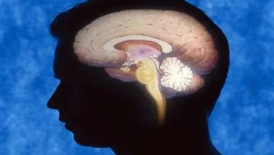 Doctor identifies brain stimulating substances