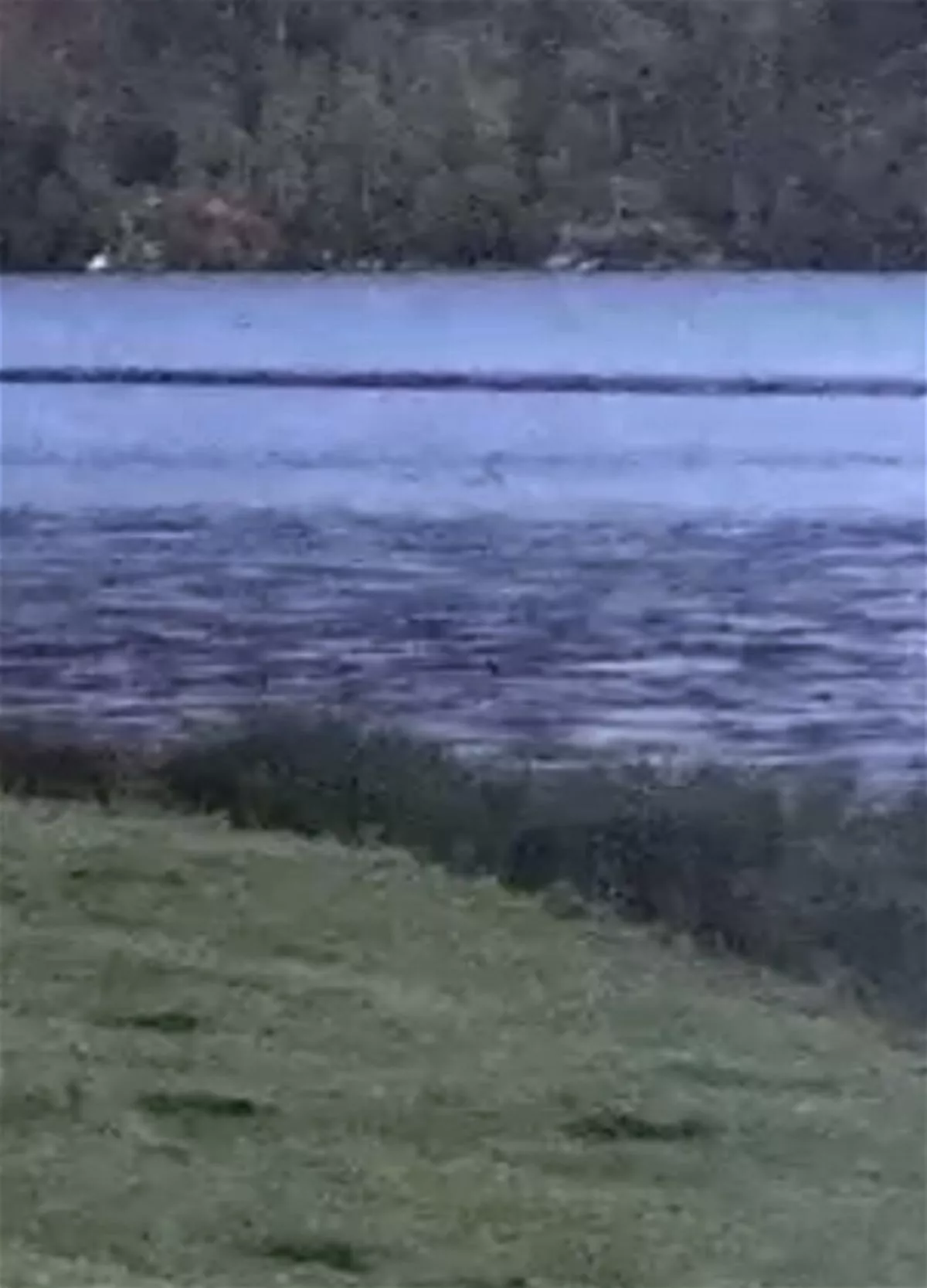 Loch Ness Monster's 'head and neck' spotted in new footage (2)
