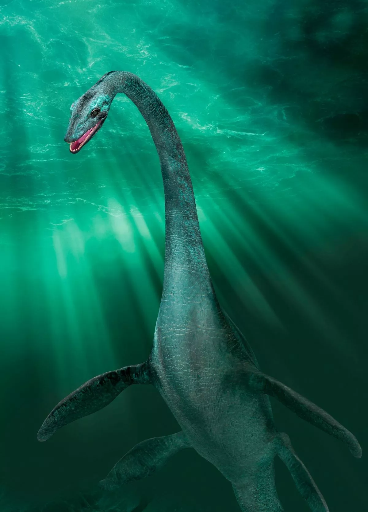 Loch Ness Monster's 'head and neck' spotted in new footage (3)