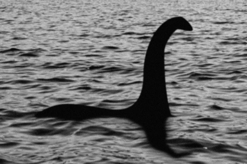 Loch Ness Monster's 'head and neck' spotted in new footage