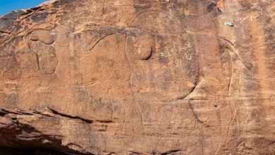 Mysterious images of camels were found in Saudi Arabia