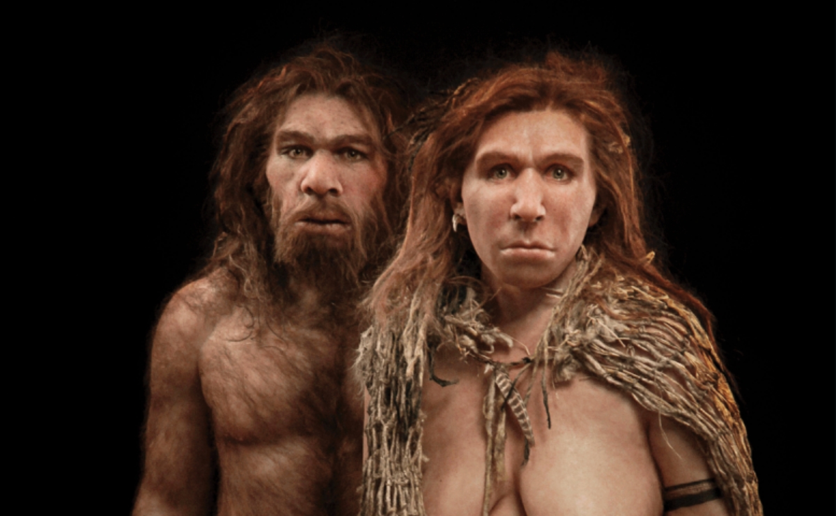 Neanderthals are not a separate species but another form of man