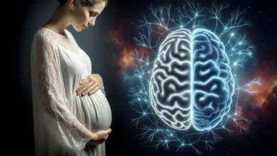 Pregnancy hormones rewire the brain to prepare for motherhood, study finds