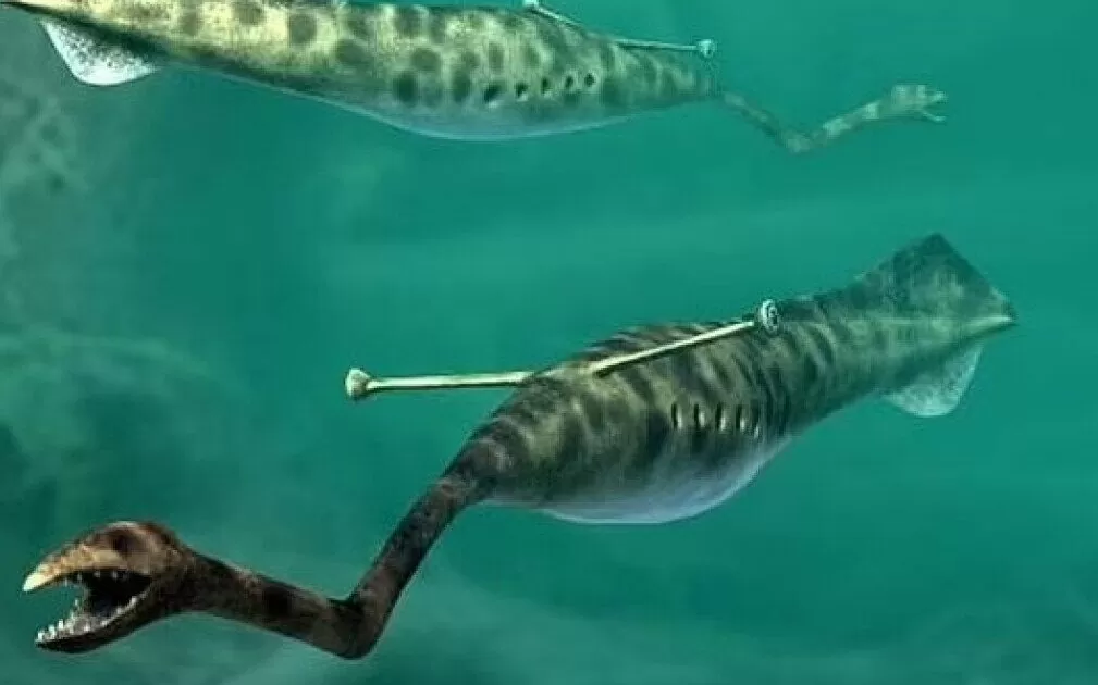 Scientists finally solved the mystery of the Tully monster