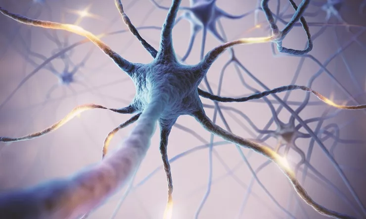 Scientists have 3D printed nerve cells
