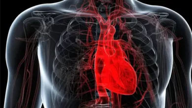 Scientists have discovered microplastics in human heart tissue