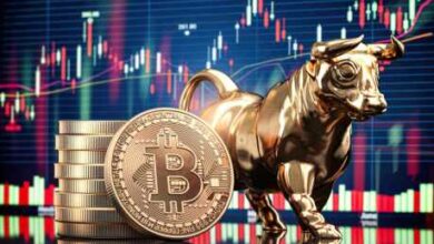 crypto-market-expert-identifies-the-spark-off-for-600%-bitcoin-observe-surge