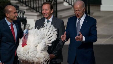 biden’s-birthday-present:-abysmal-polls-and-rising-difficulty-about-his-age