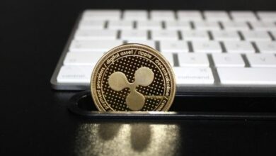 from-cool-off-to-takeoff:-how-xrp’s-contemporary-label-signals-an-coming-near-near-market-triumph