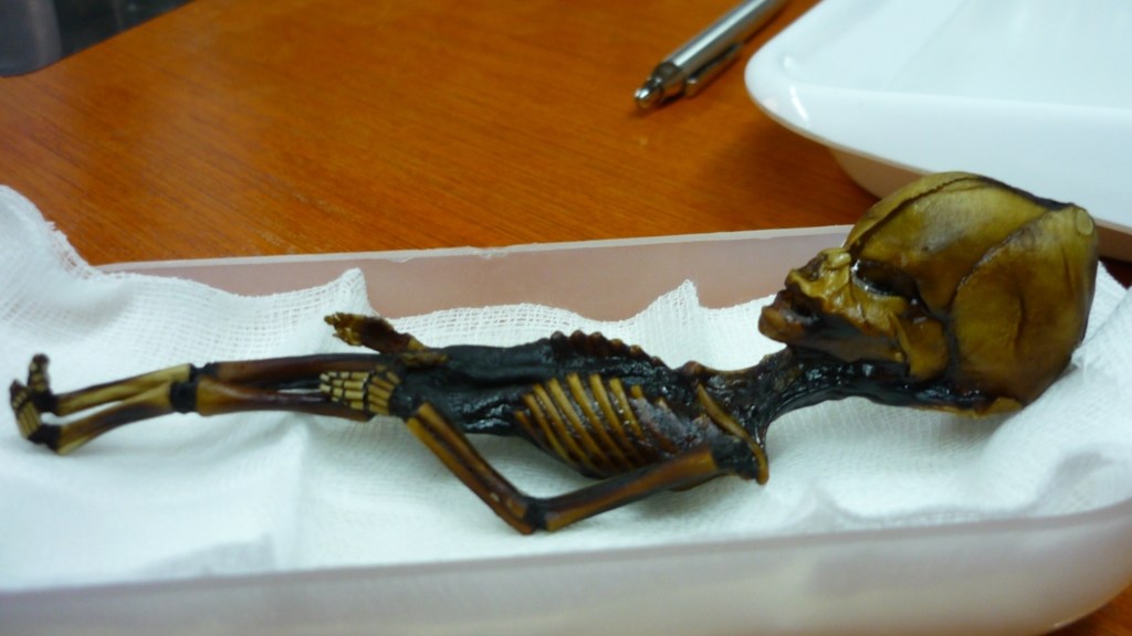 Buyer of 'alien' mummy claims it's an extinct tiny human species