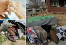 st.-louis-government-removes-‘scary,’-‘smelly’-homeless-camp-after-three-years-of-disturbing-homeowners
