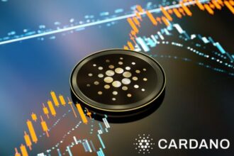 cardano-crisis-or-comeback?-ada’s-key-metric-hits-low,-what-this-means-for-investors